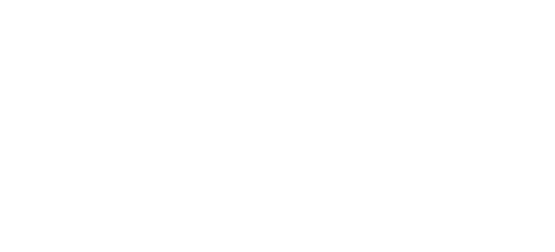 ROGON Logo